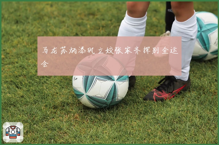 马龙苏炳添巩立姣张家齐挥别全运会