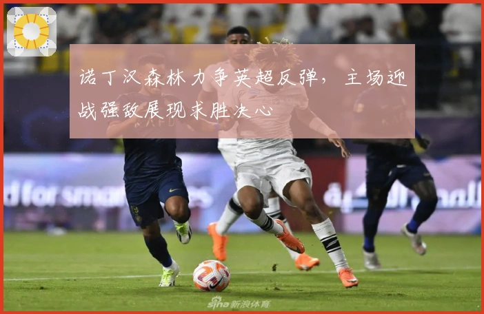 诺丁汉森林力争英超反弹，主场迎战强敌展现求胜决心